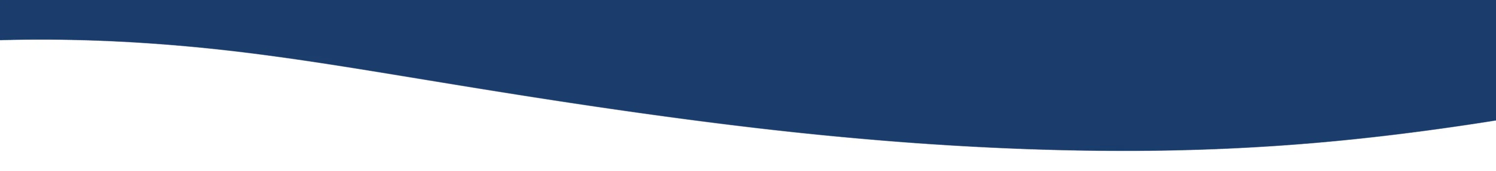 section divider
