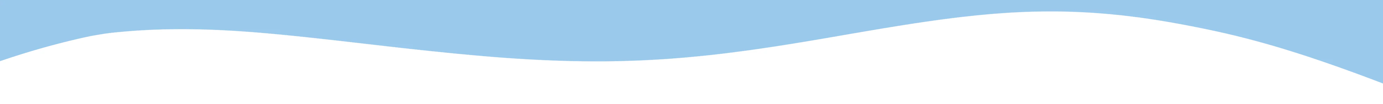 section divider