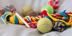 DIY Dog Toys: Fun, Easy, and Budget-Friendly