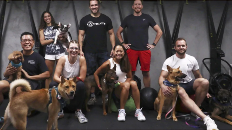 Pupfit 2021- 籌集了 147,000 美元！！
