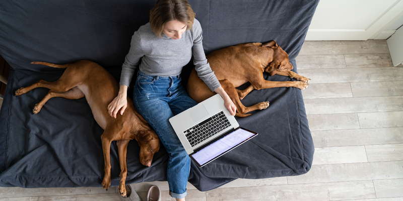 Tips to keep a pet owner's home tidy