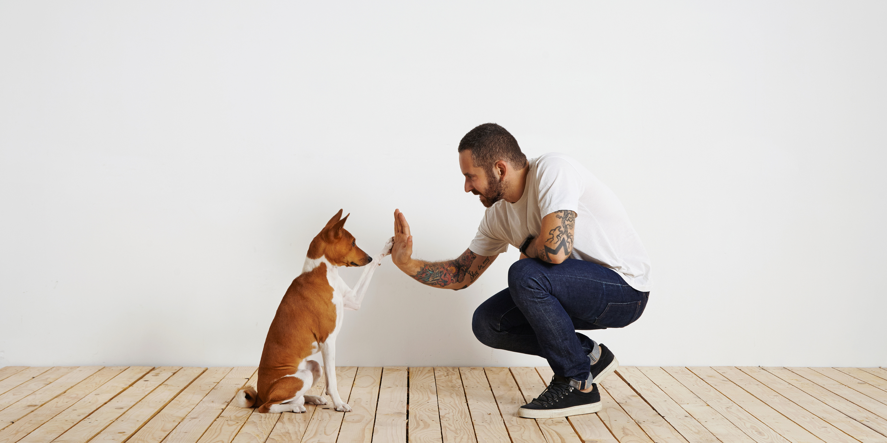 4 basic commands every puppy should know.
