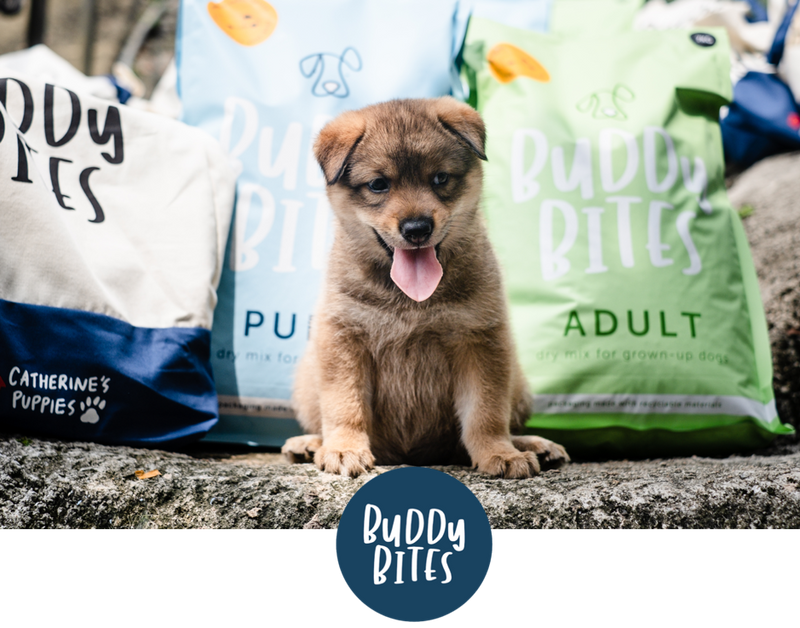 Month One Donations- 50% of Catherine's Puppies Covered