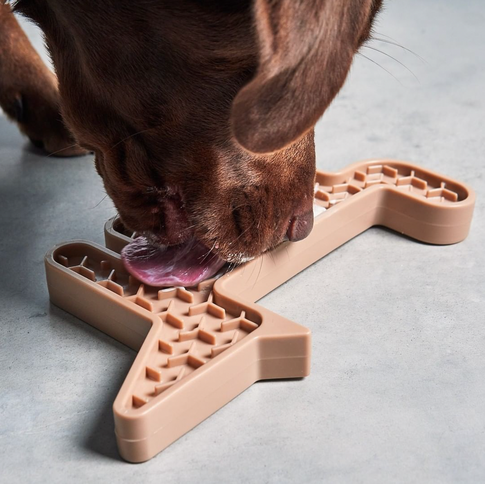 9 Types of Dog Gifts Worth Giving Beyond the Holiday Season