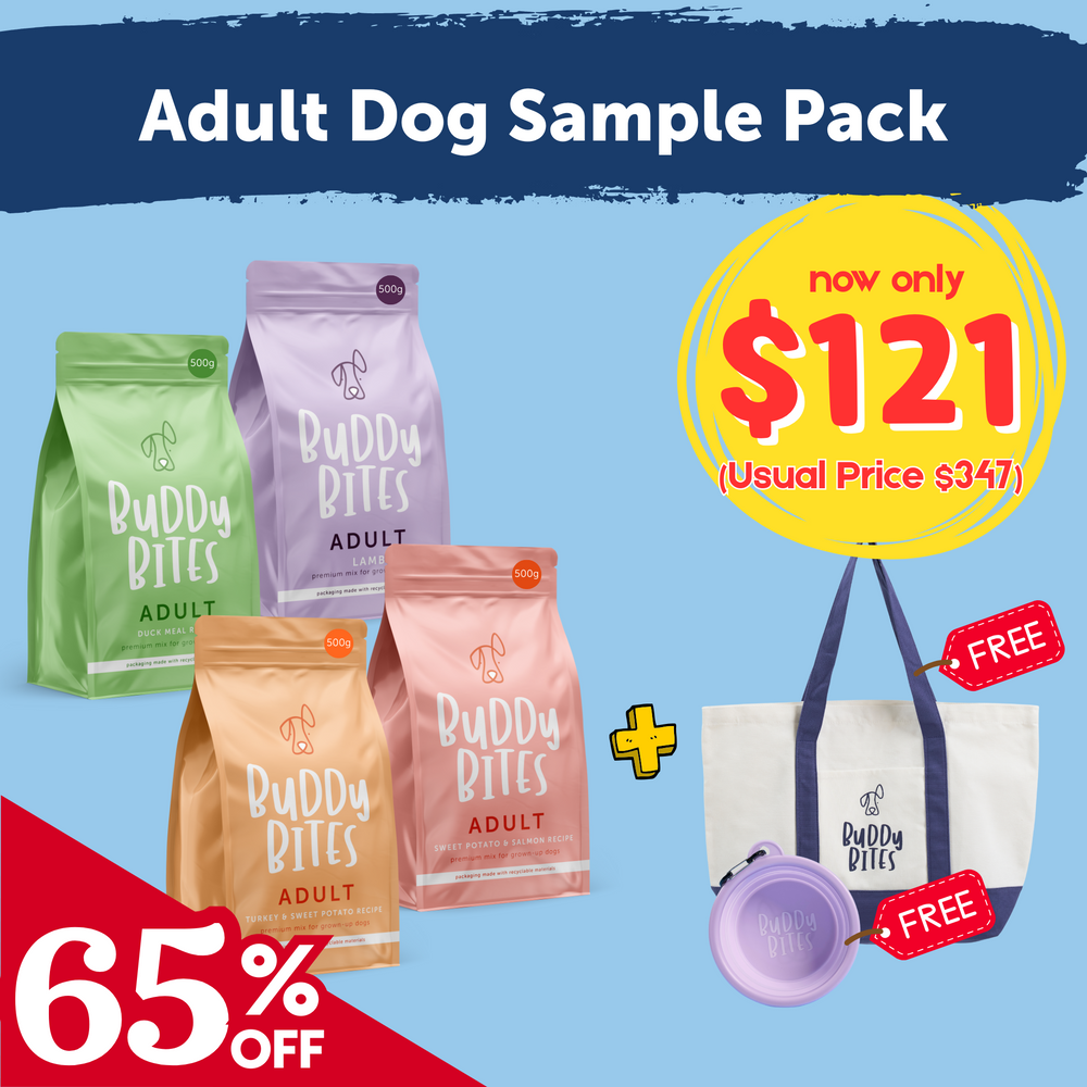 Adult Kibble Starter Pack