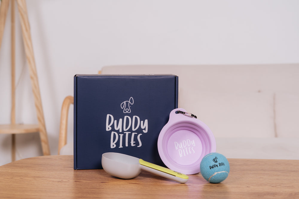 Subscriber Welcome Box