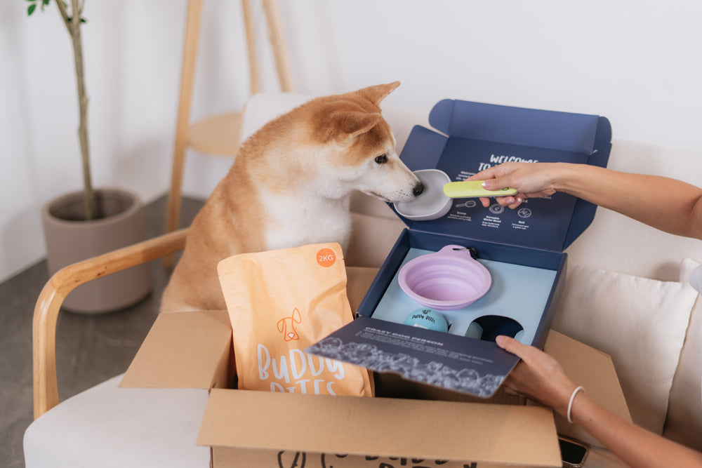 Subscriber Welcome Box