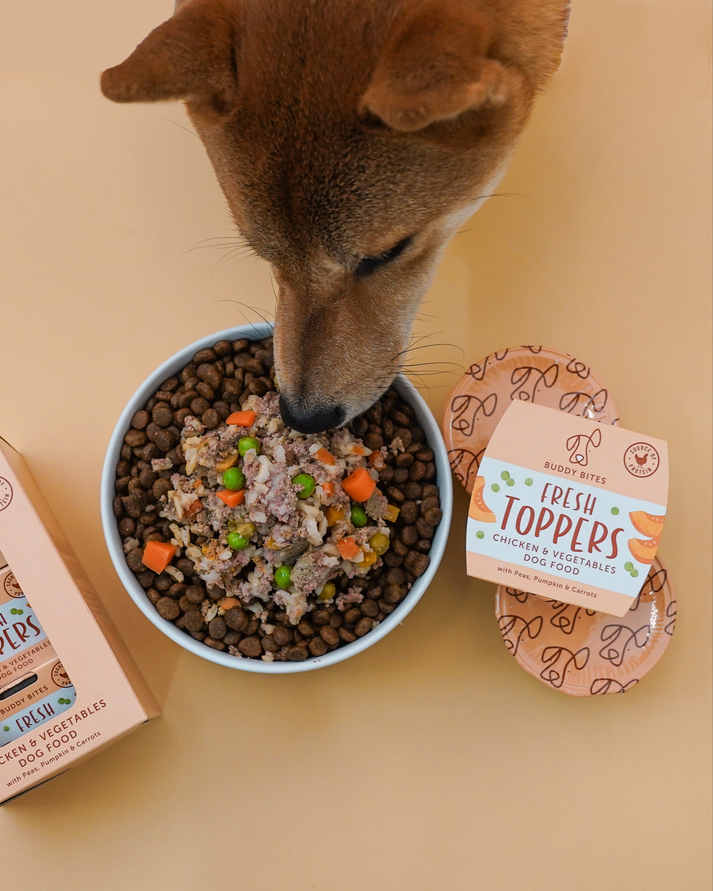 雞肉蔬菜濕伴糧