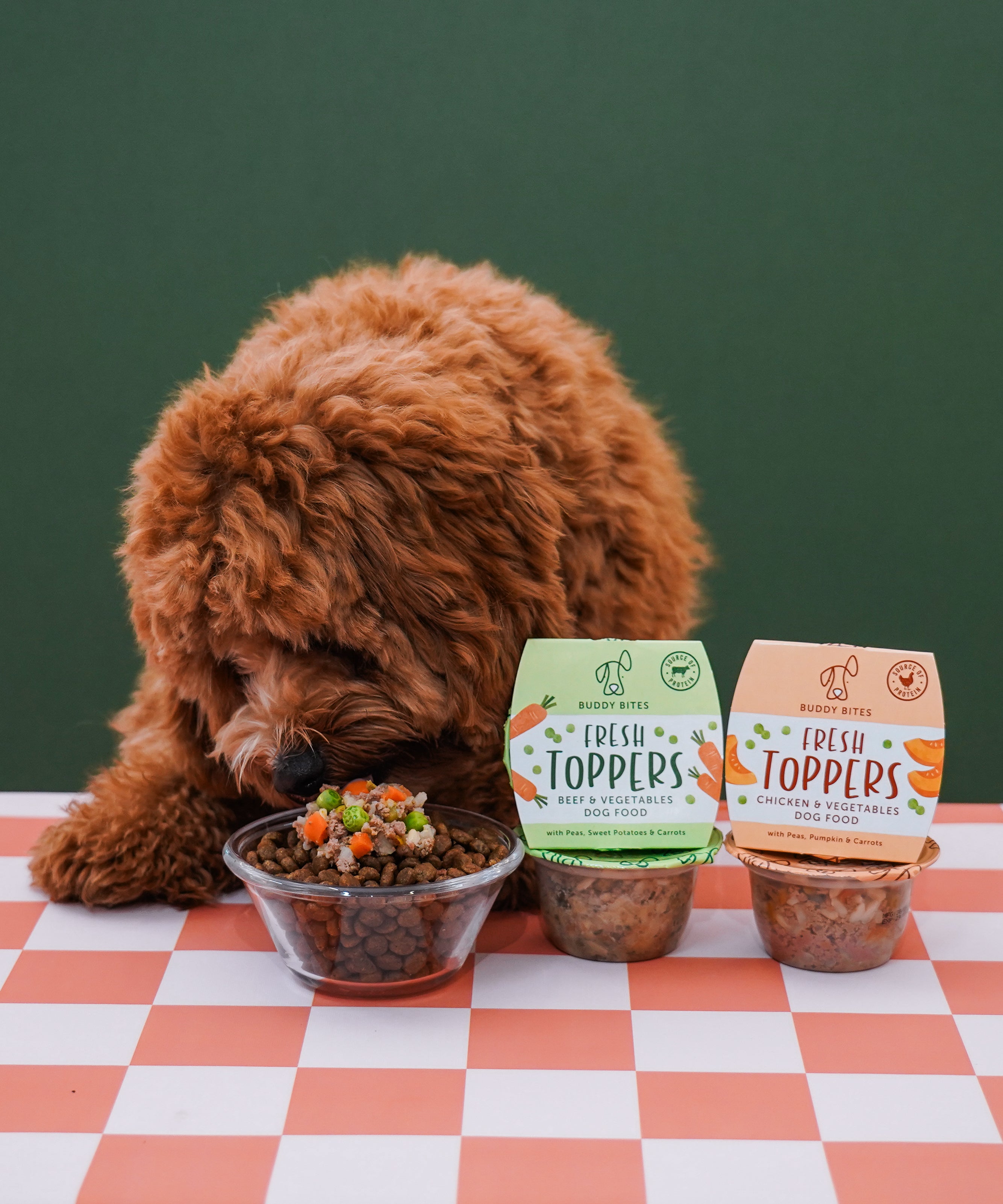 雞肉蔬菜濕伴糧