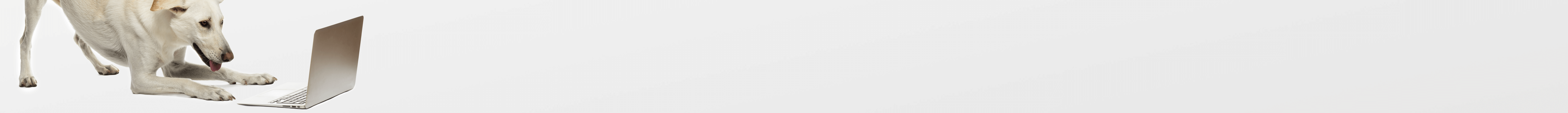 Blog Banner