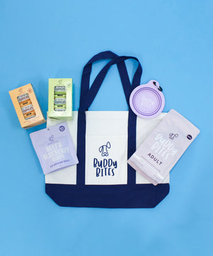 Premium Adult Lamb Sample Starter Pack