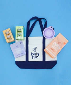 Premium Adult Salmon Sample Starter Pack