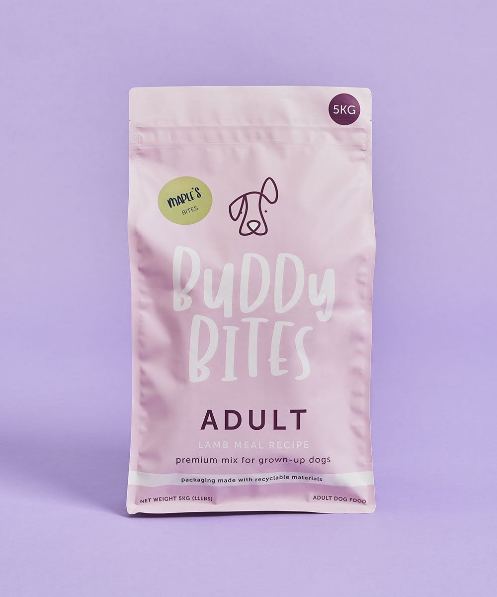 Adult Lamb Dry Dog Food