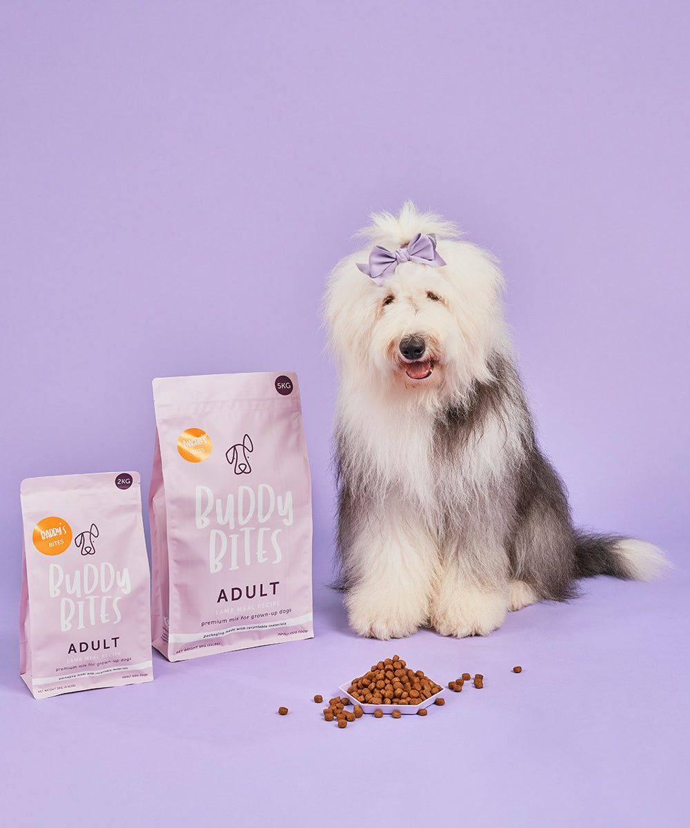 Adult Lamb Dry Dog Food