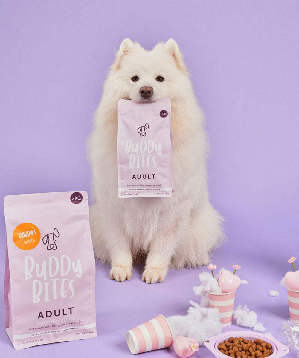 Adult Lamb Dry Dog Food