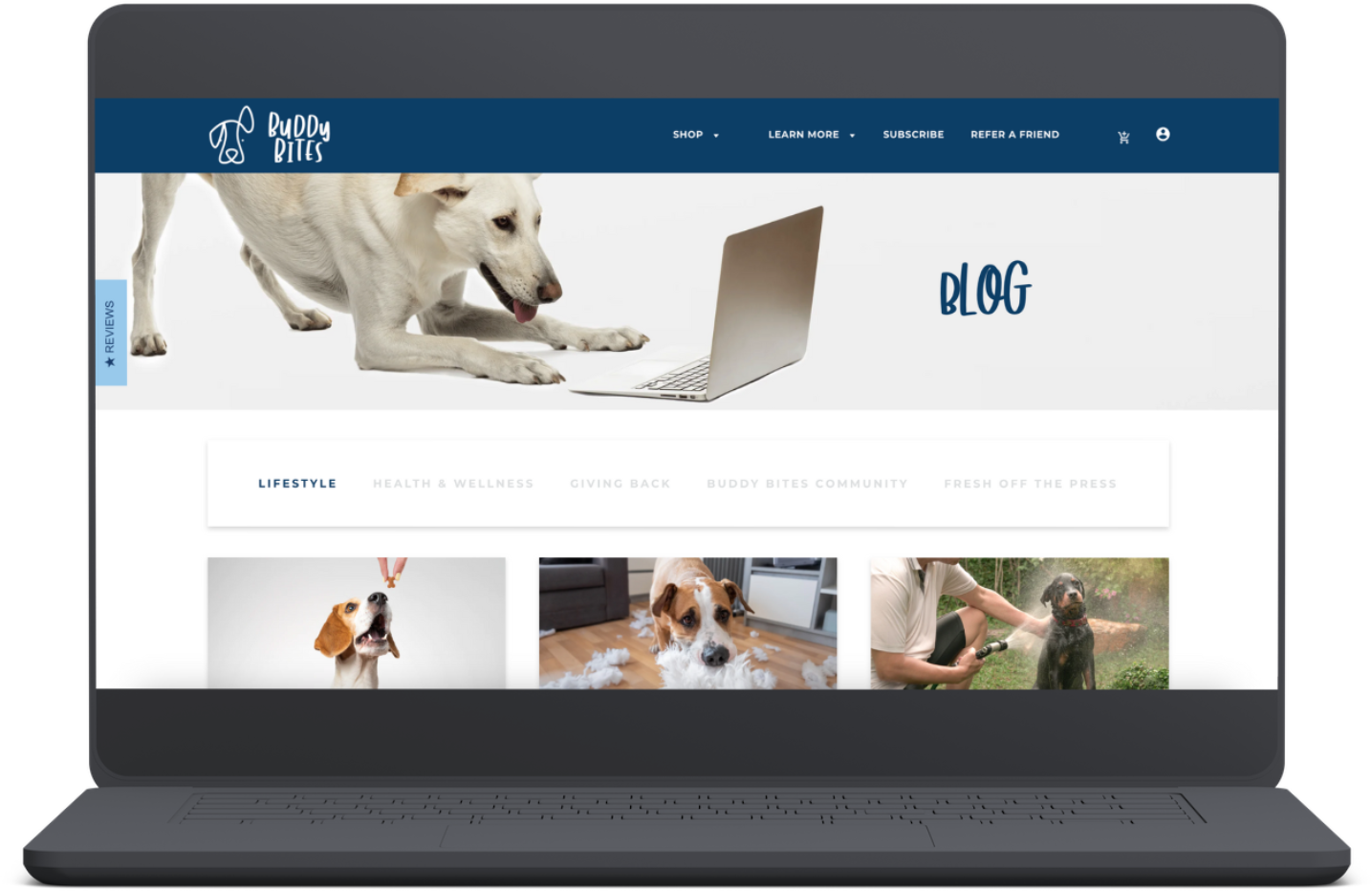 Read Our Blog
