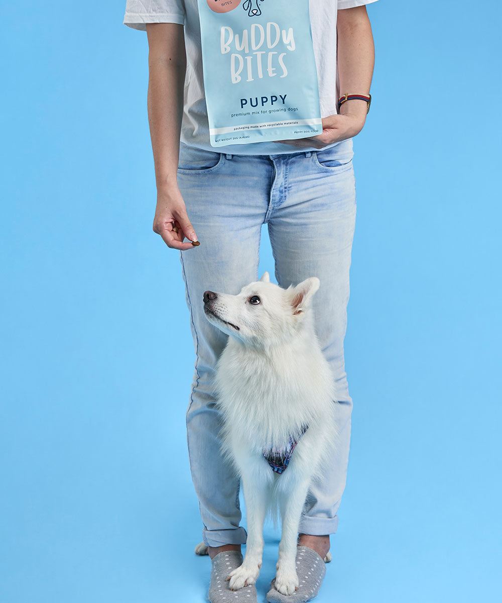 Puppy Dry Dog Food