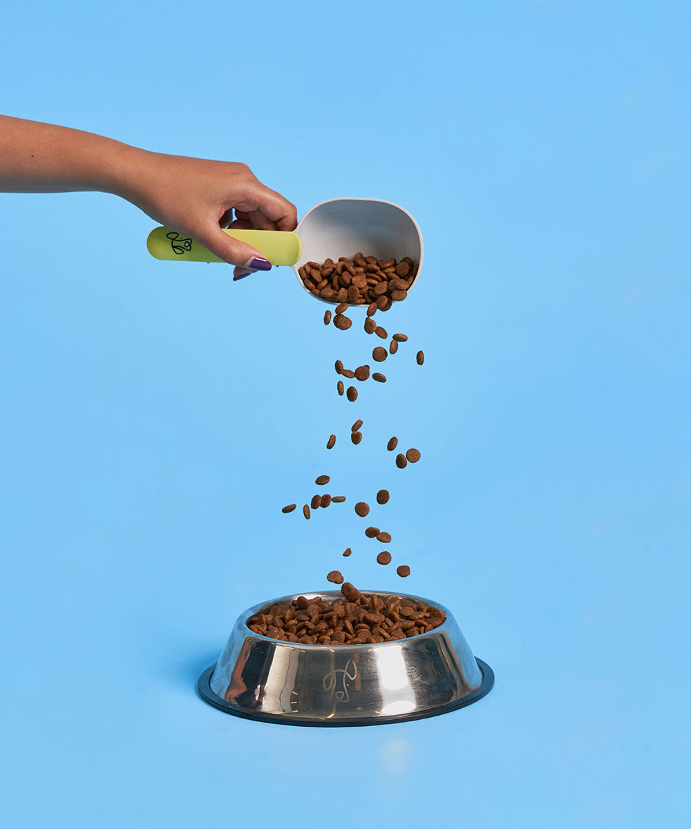 Puppy Dry Dog Food