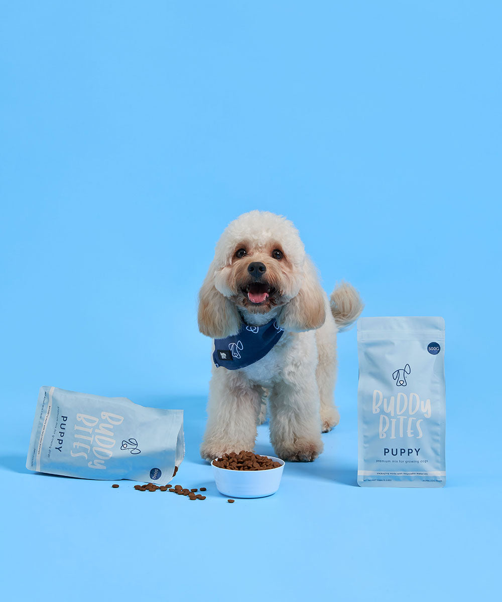 Buddy Bites Puppy 500g