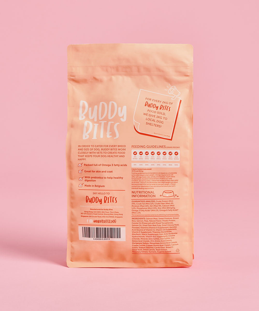 Adult Salmon Dry Dog Food