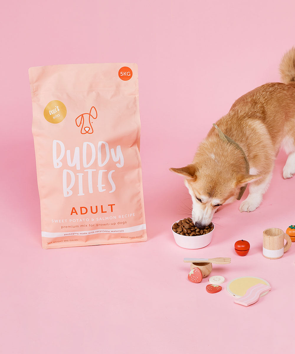 Adult Salmon Dry Dog Food