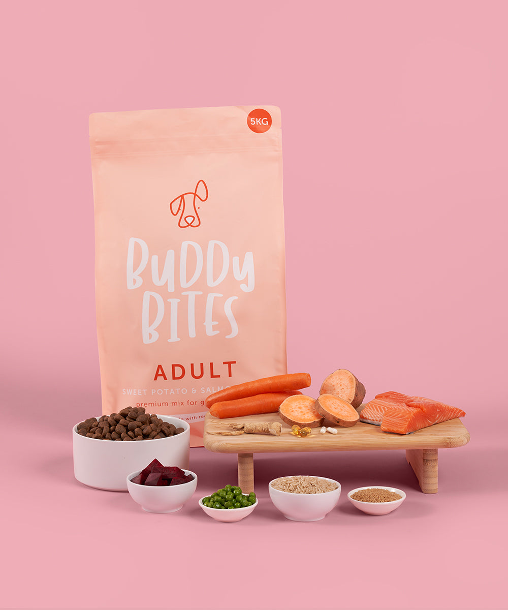Buddy Bites成犬三文魚甜薯乾狗糧
