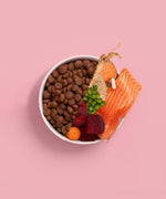 Adult Salmon Dry Dog Food