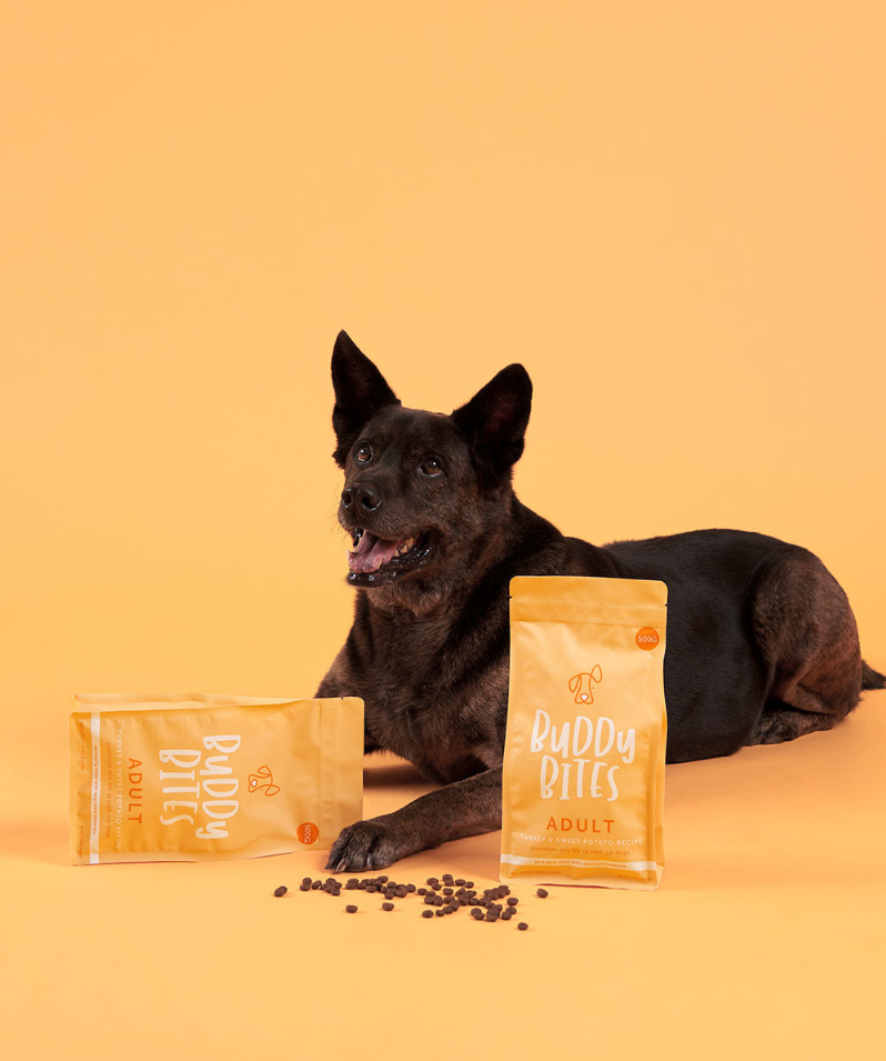 成犬火雞狗糧試食體驗包