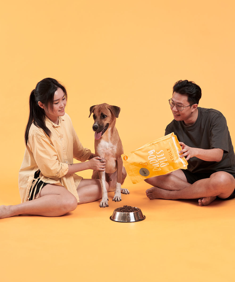 成犬火雞狗糧試食體驗包