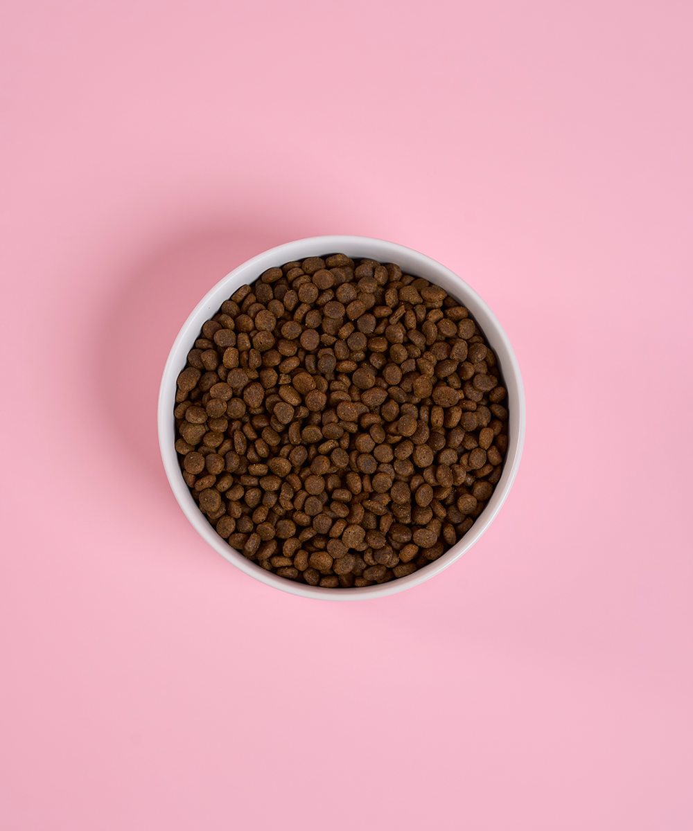 （細粒版)三文魚甜薯成犬口味