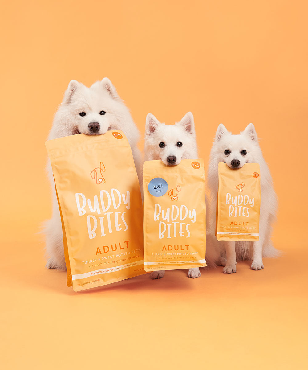 Adult Turkey Dry Dog Food