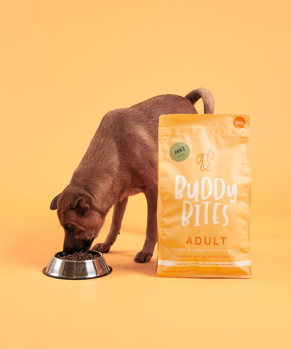 Adult Turkey Dry Dog Food