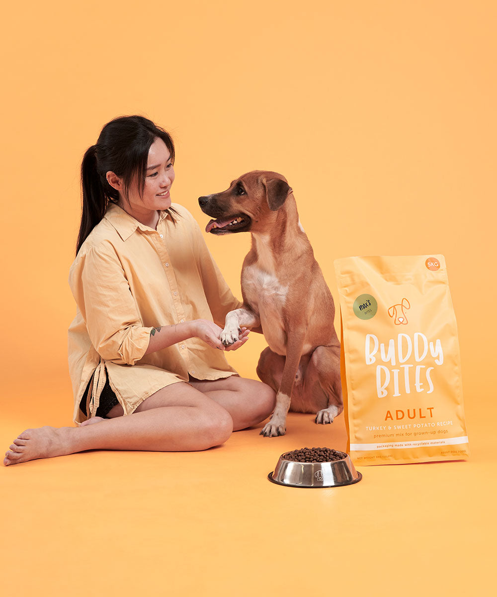 Adult Turkey Dry Dog Food