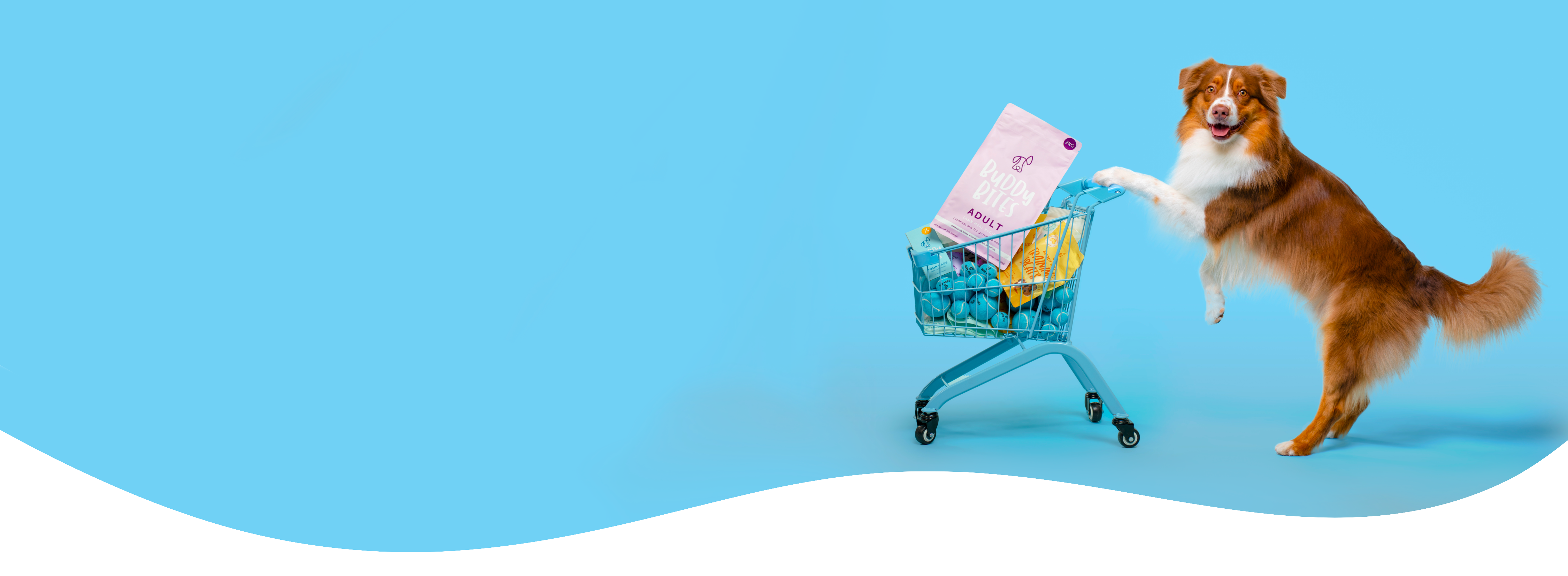 FAQ Banner