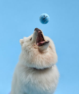 Tennis ball