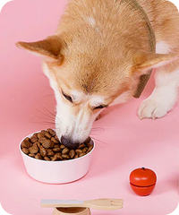 Kibbles