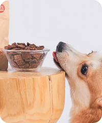 Treats