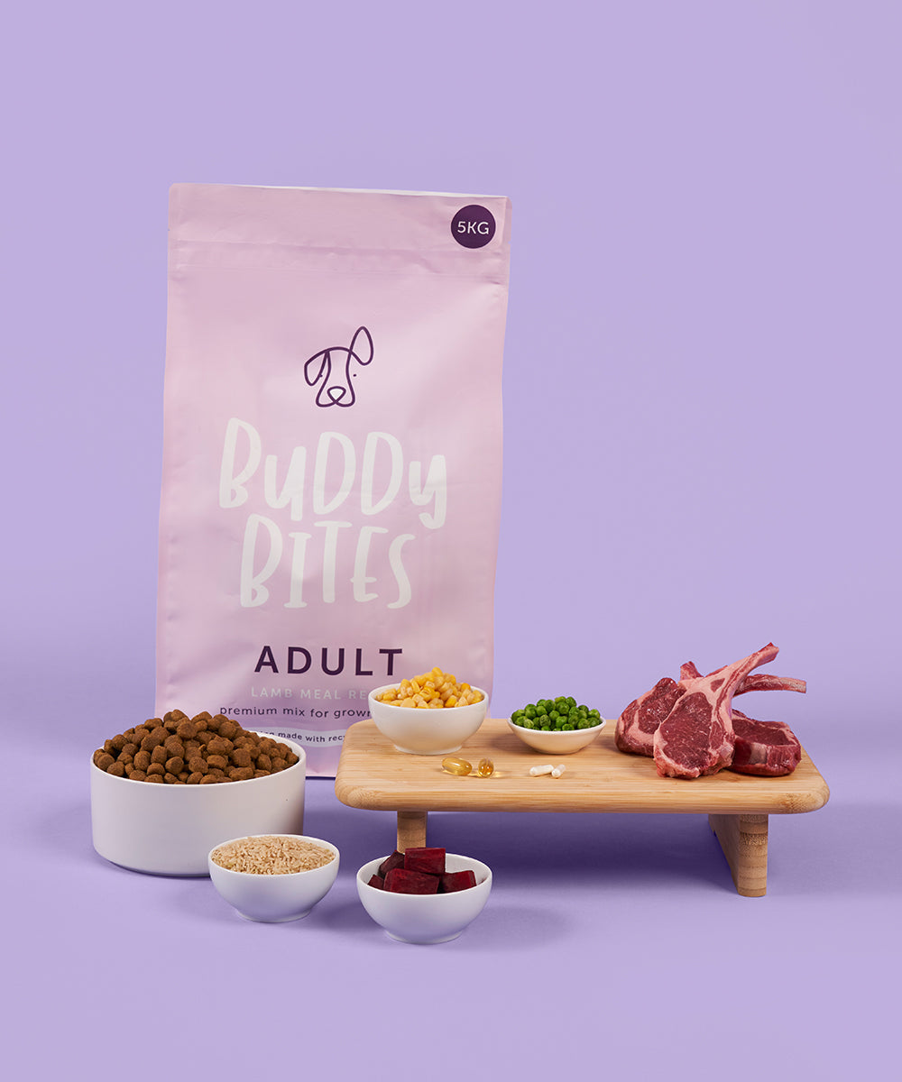 Adult Lamb Dry Dog Food