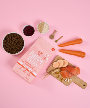 （細粒版)三文魚甜薯成犬口味