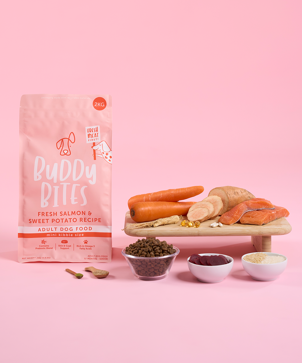 （細粒版)三文魚甜薯成犬口味