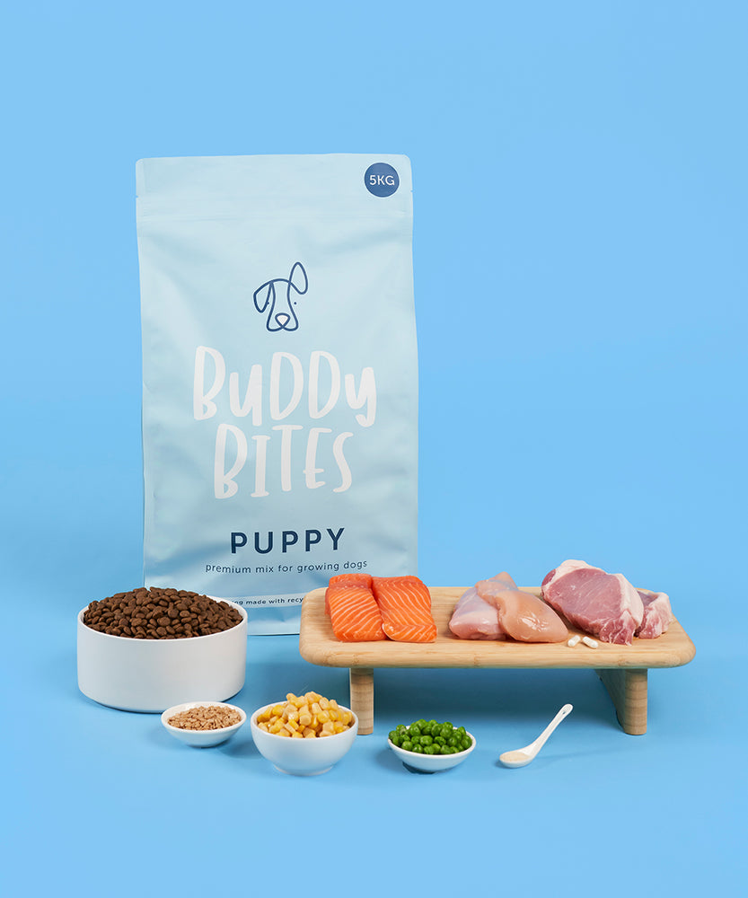 Puppy Dry Dog Food