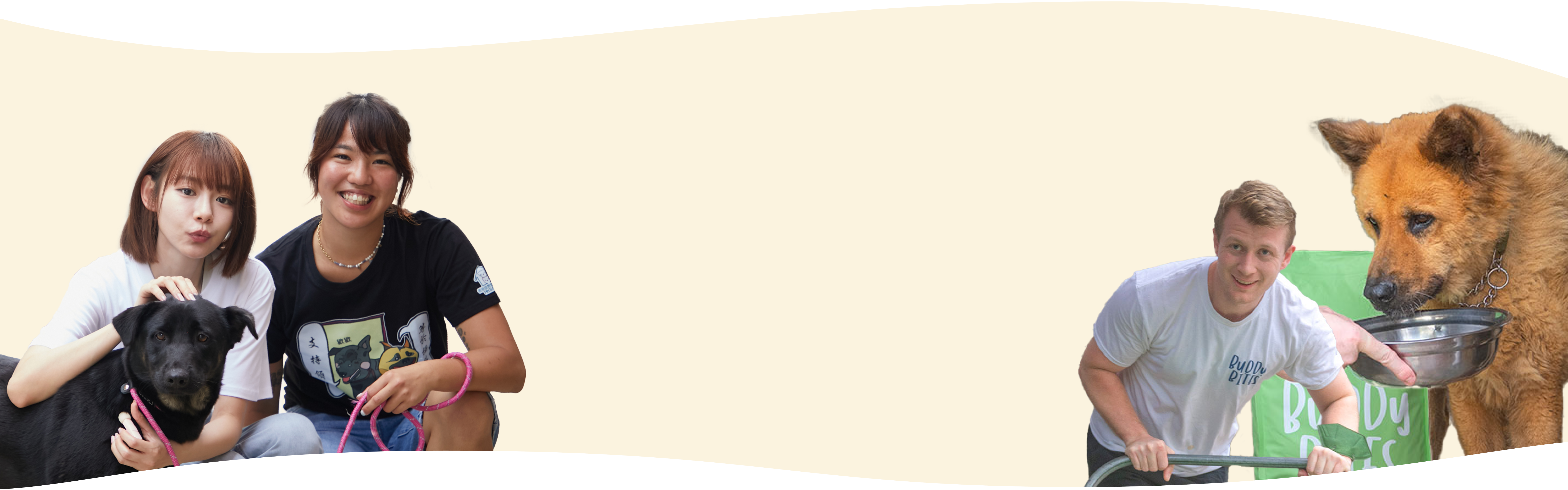 We give back desktop background