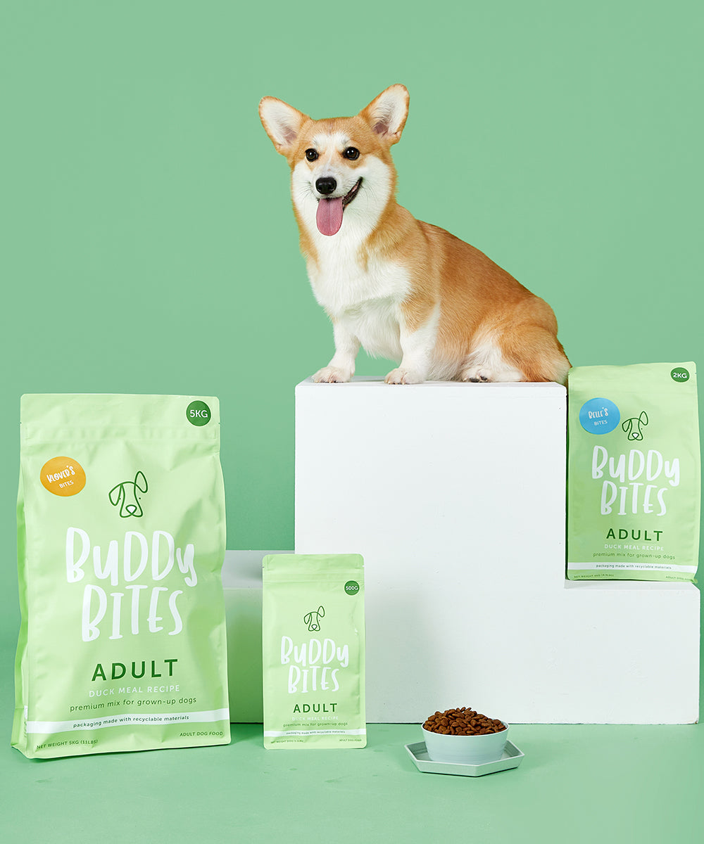 Buddy Bites 成犬鴨肉乾狗糧