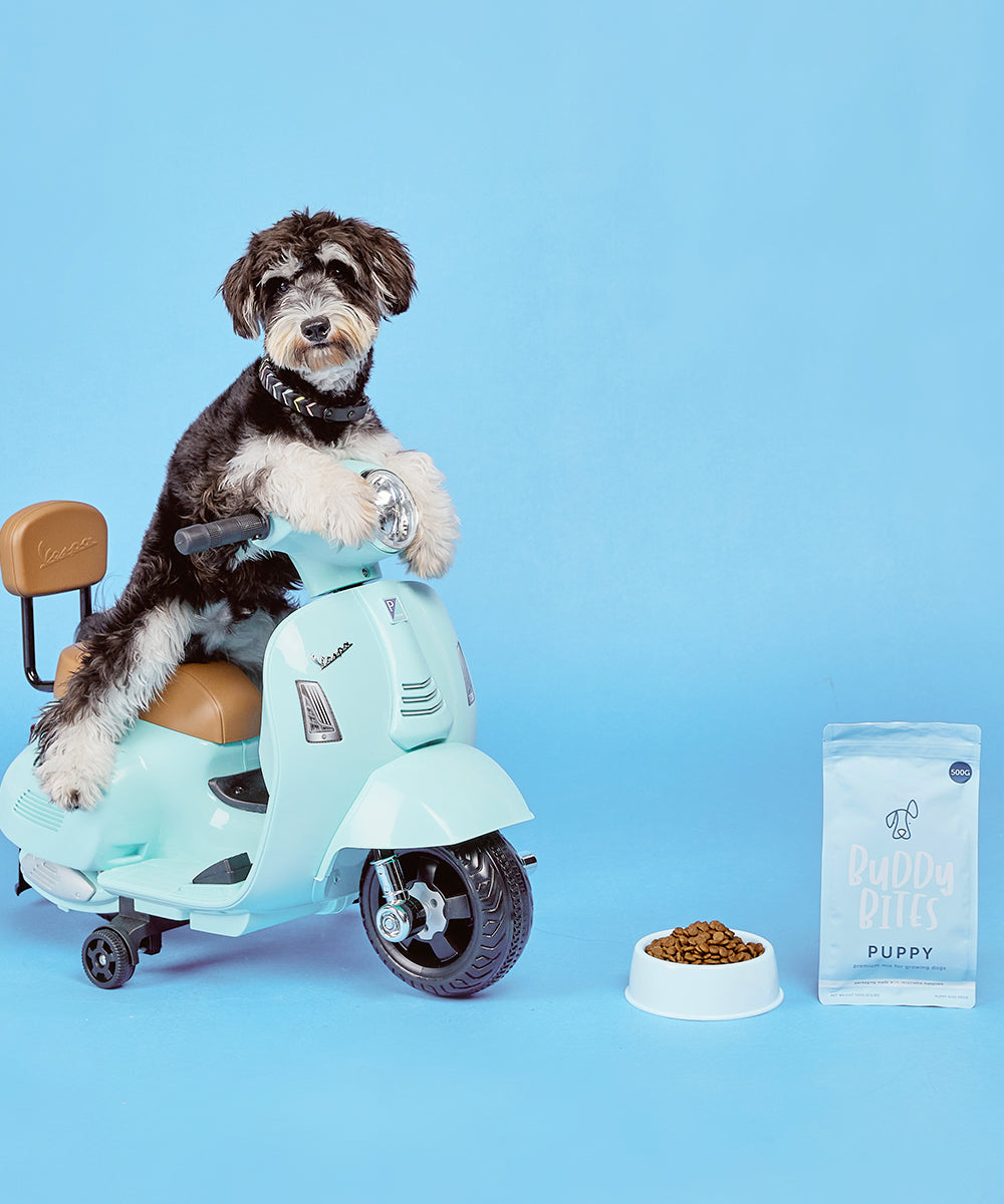 Puppy Dry Dog Food