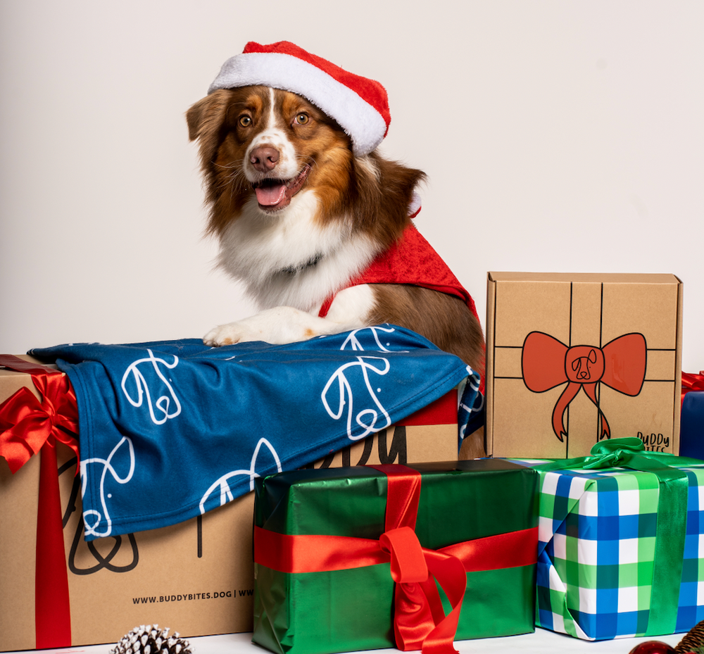 狗狗專屬聖誕禮盒